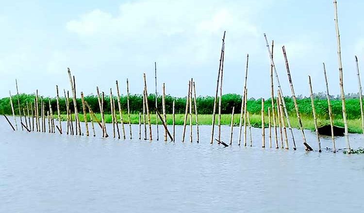 শ্রীপুর ও ধীতপুর গ্রামে ছটকার কারণে নদী ভাঙ্গন ৯৫ ভাগ রক্ষা পেয়েছে