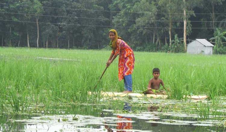 বন্যায় মা ও শিশু স্বাস্থের অবস্থা