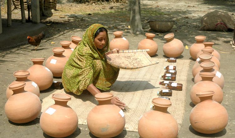 নয়াকৃষি বীজ ব্যবস্থাপনা সহায়িকা