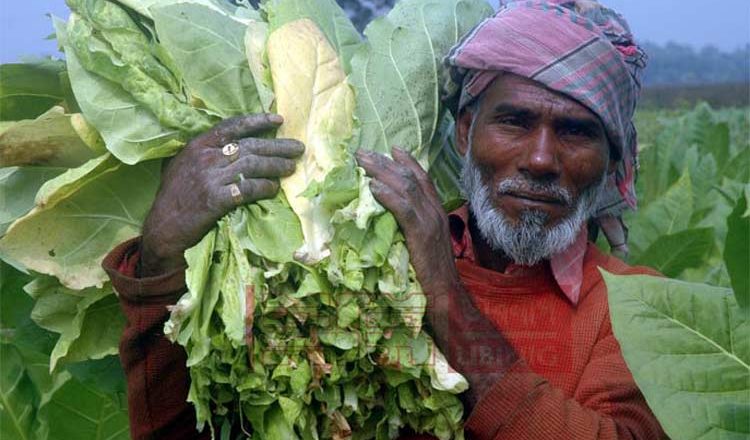 তামাকের শৃংখল থেকে মুক্তিঃ