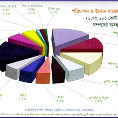 বাজেট যেমন বড়, তেমনি বড় হতাশা