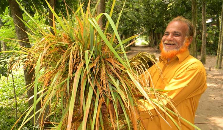 অর্গানিক কৃষি বাংলাদেশের ১৬ কোটি মানুষকে খাওয়াতে পারবে