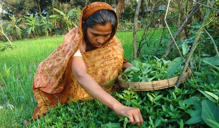 চৈত্র সংক্রান্তি পালন ও প্রকৃতির হিশাব নিকাশ