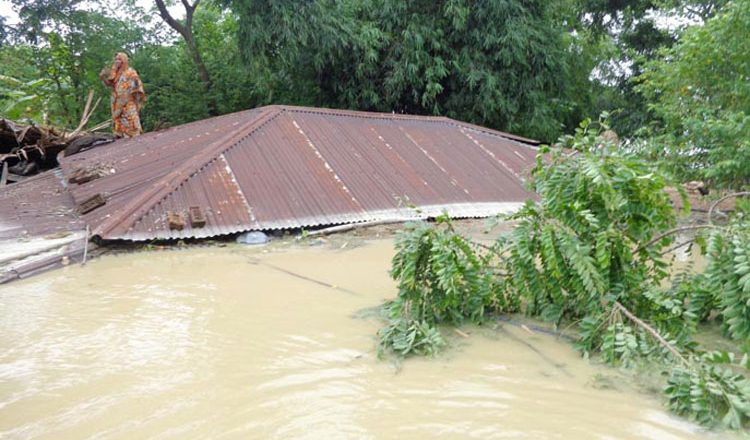 বৃষ্টি, বন্যা ও উন্নয়নের বিকৃত রূপ