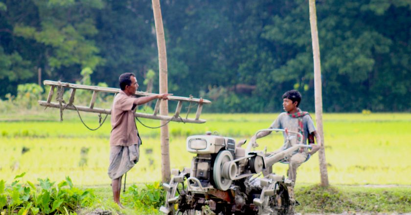 সর্বনাশী কর্পোরেট কৃষি নয়, চাই পরিবেশসম্মত কৃষি