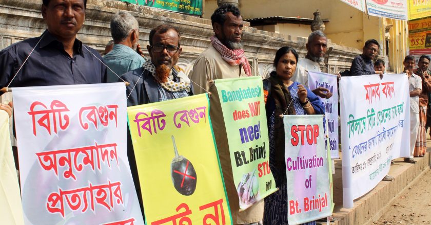 বিটিবেগুন চাই না, কৃষকের প্রতিবাদ