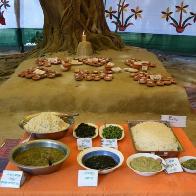 Rice Diversity and Food Festival