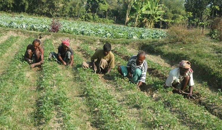 An Economic Analysis of Multiple Rabi Crops Cultivation against Tobacco Production at Farm Level in Bangladesh