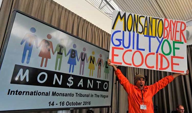 Monsanto Tribunal: Protecting Victims of Ecocide