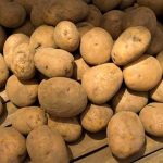 Can GM potato save poor farmers?