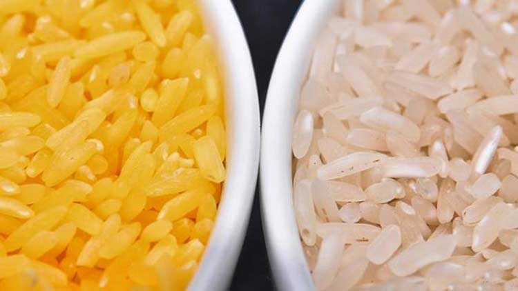 GOLDEN RICE : Threat to pregnant women and foetus