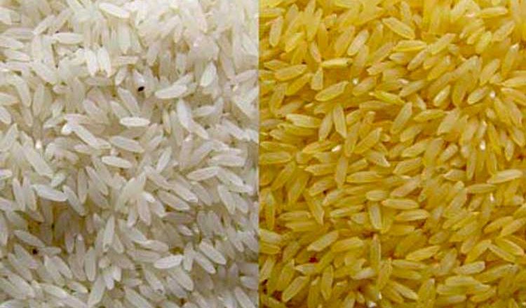 Corporate control over rice