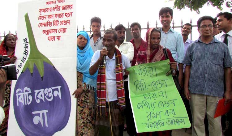 International Scientists Say “No” to Bt Brinjal approval