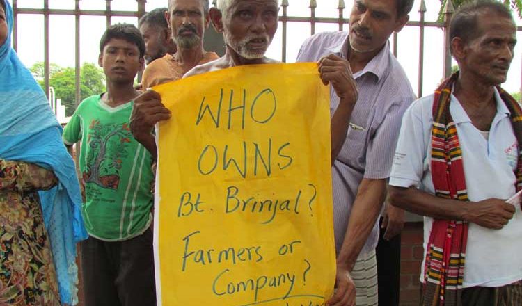 Mahyco ‘owns’ Bt Brinjal, not BARI and never the farmers!