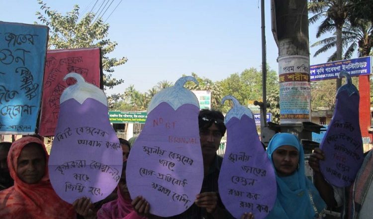 Farmers’ protest against Bt brinjal introduction