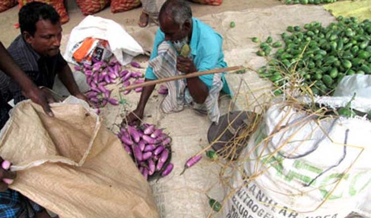 Bt Brinjal in the open market without labels !