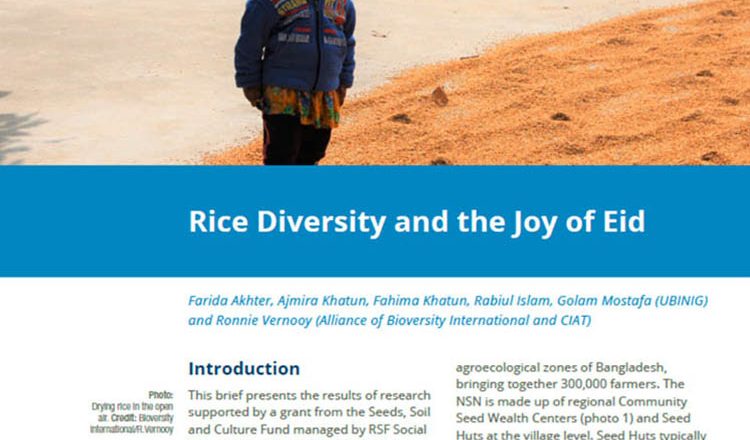 Rice Diversity and the Joy of Eid