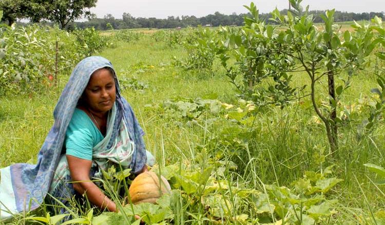 Seed is our heart: Rina Begum