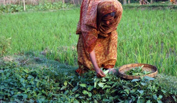 The Community Seed Wealth Center: Reducing risk and vulnerability of Marzina Begum