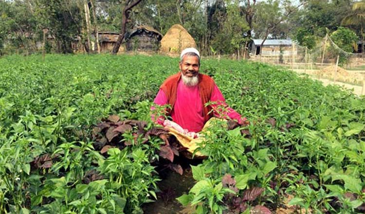 Farmers received seed support after the flood