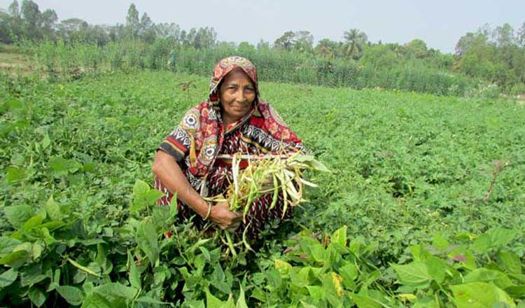 Farmers benefitted with seeds