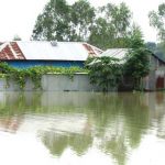 Flood, Sonatoni Charland of Jamuna, Shahjadpur