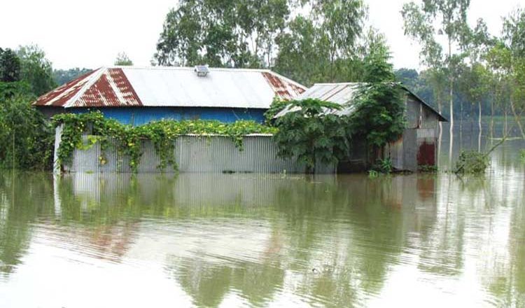 Flood, Sonatoni Charland of Jamuna, Shahjadpur