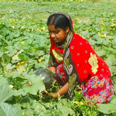 Farmers feed people