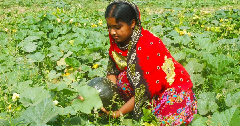 Farmers feed people