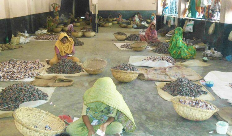 Conditions of women workers in Smokeless Tobacco factories in Bangladesh